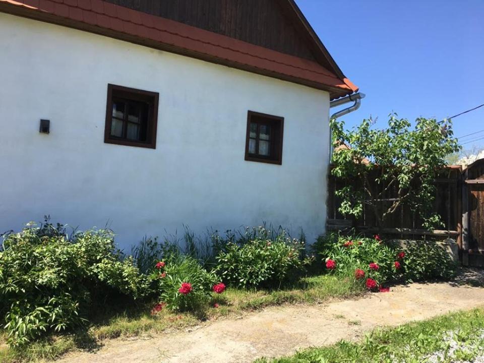 Miklós Lak Felsősófalva Kültér fotó