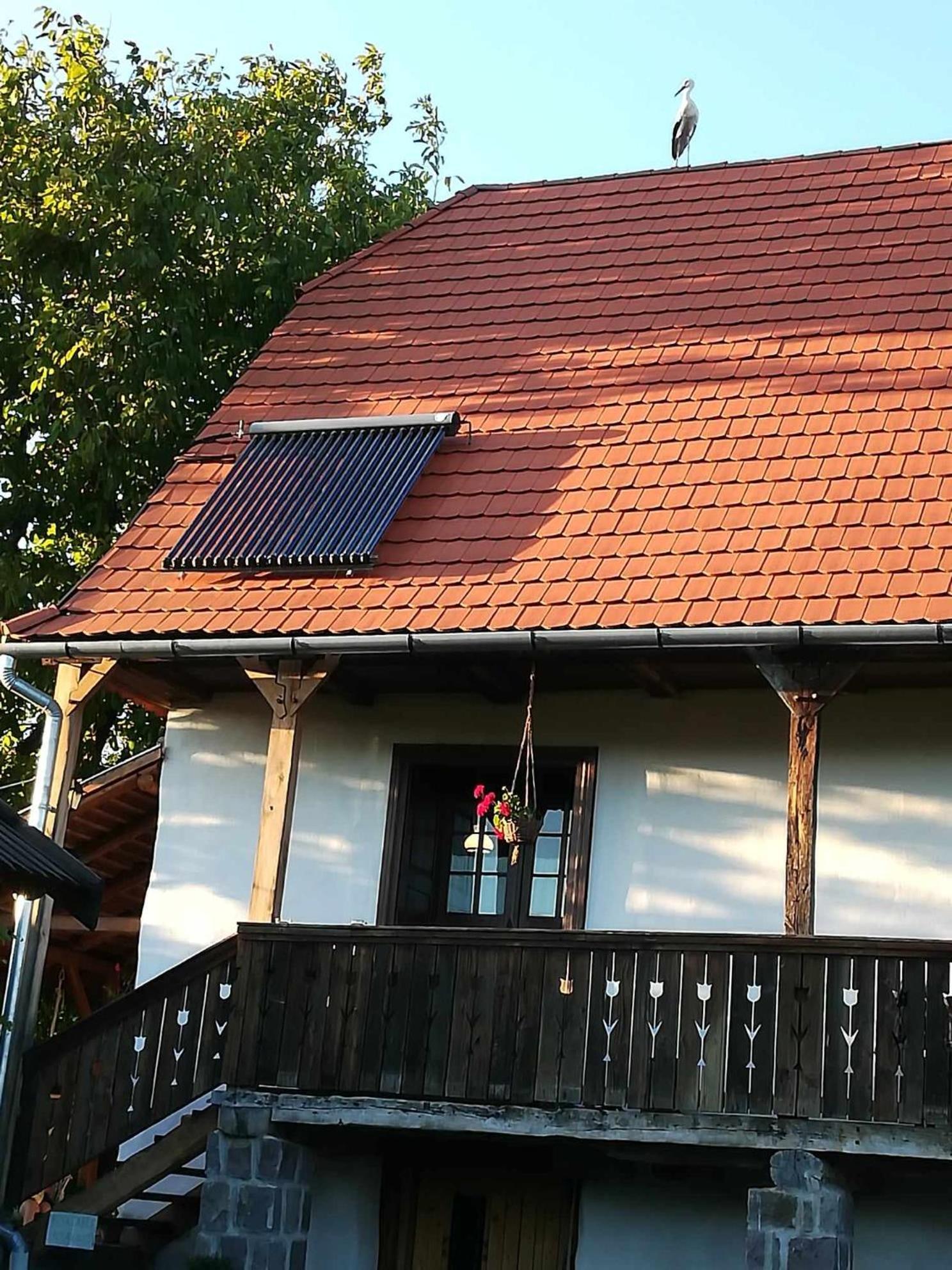 Miklós Lak Felsősófalva Kültér fotó